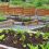Simple and Effective Ways to Improve Your Garden Soil
