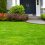 How To Fill In Bare Spots In A Lawn