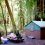 Why Are Rental Cabins Beneficial for Picnics