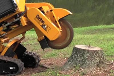 How Long Does It Take To Grind A Stump Down
